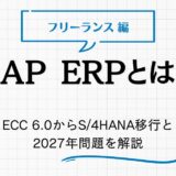 SAP ERPとは？R/3からECC 6.0、次世代S/4HANAへの変遷と今後の対応