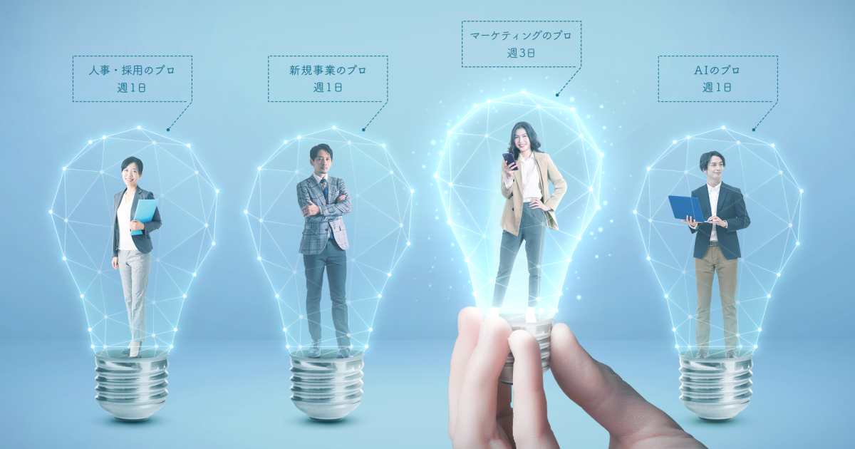 リストラのプロフェッショナル 〈ドキュメント〉KKR:富と権力の構図 筑波サーキット . 筑波ツーリスト・トロフィー in APRIL